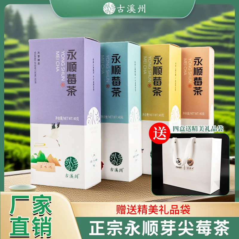 永顺莓茶礼盒装张家界霉茶新茶芽头茶藤茶送礼长辈礼盒装40g