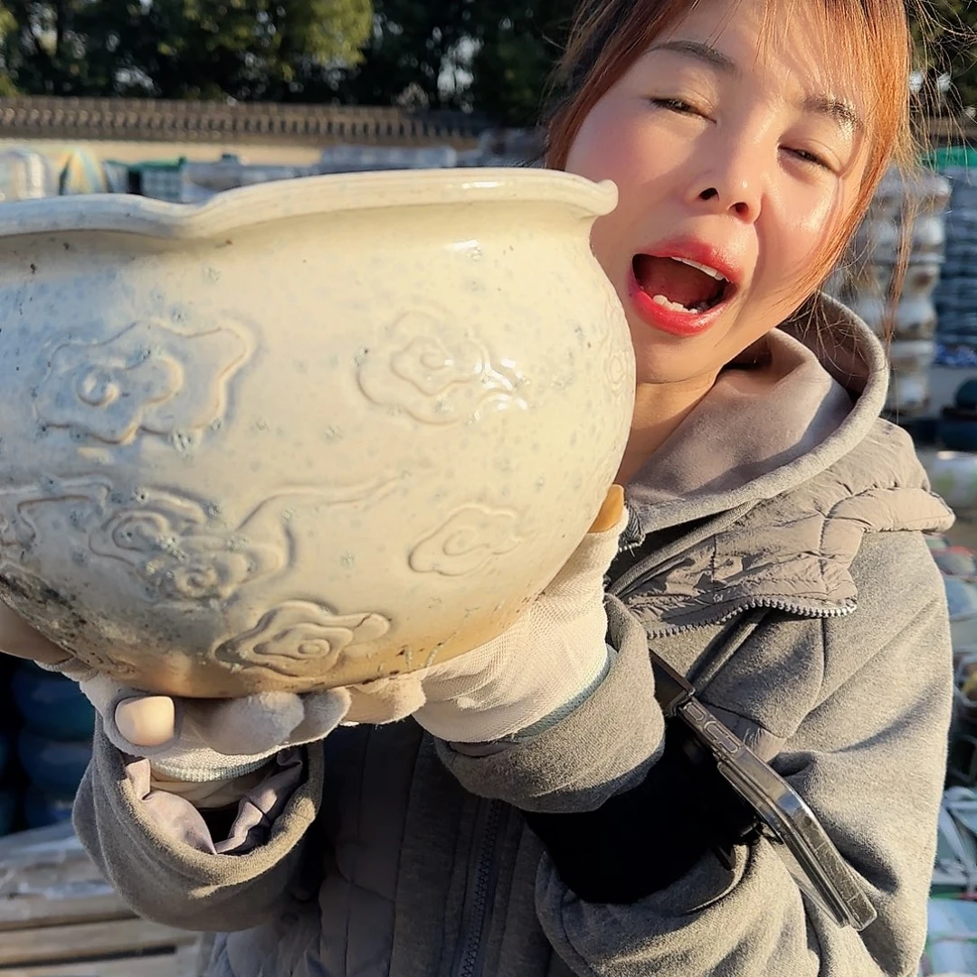 王嫂花盆直播1118-303高16口23