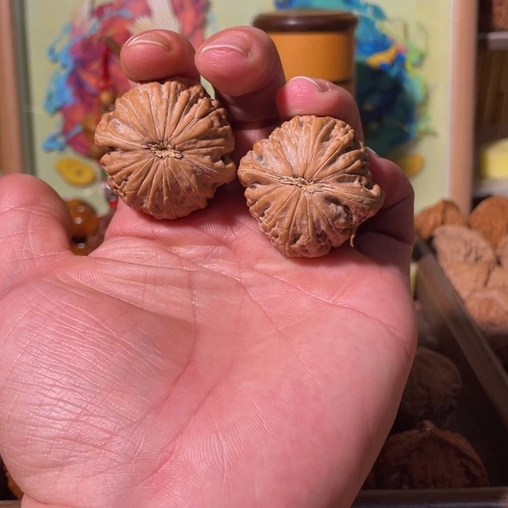 龙脊菩提吊坠铁锤妹妹