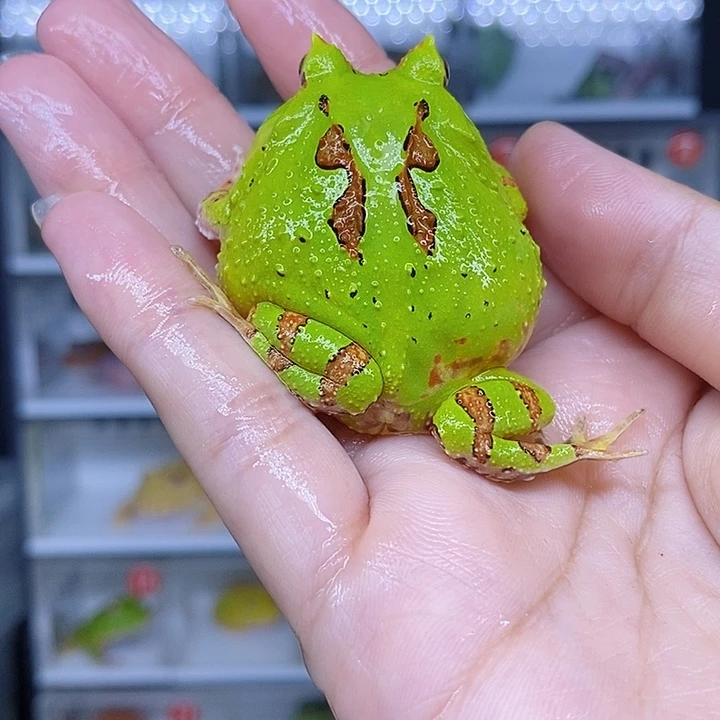 特价秒杀现货特价