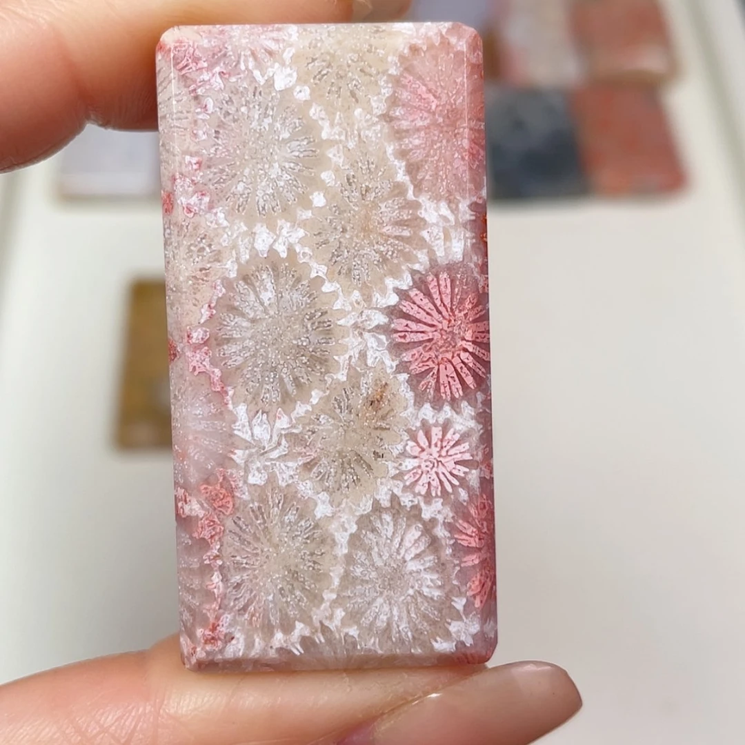 【闪购商品】未镶嵌吊坠(赠链)硅化玉