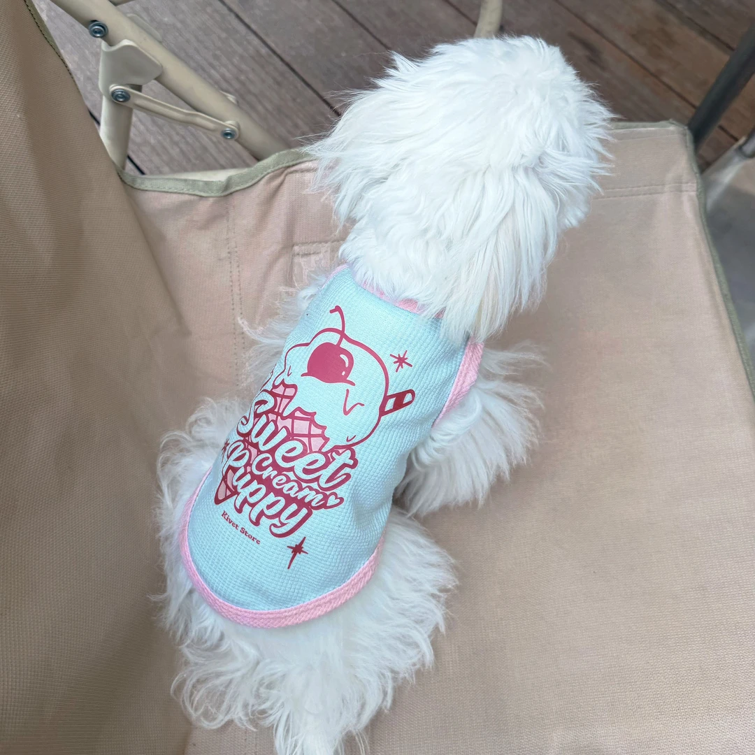 KivetStore2025华夫格雪糕背心个性衣服狗狗猫咪宠物必备物品