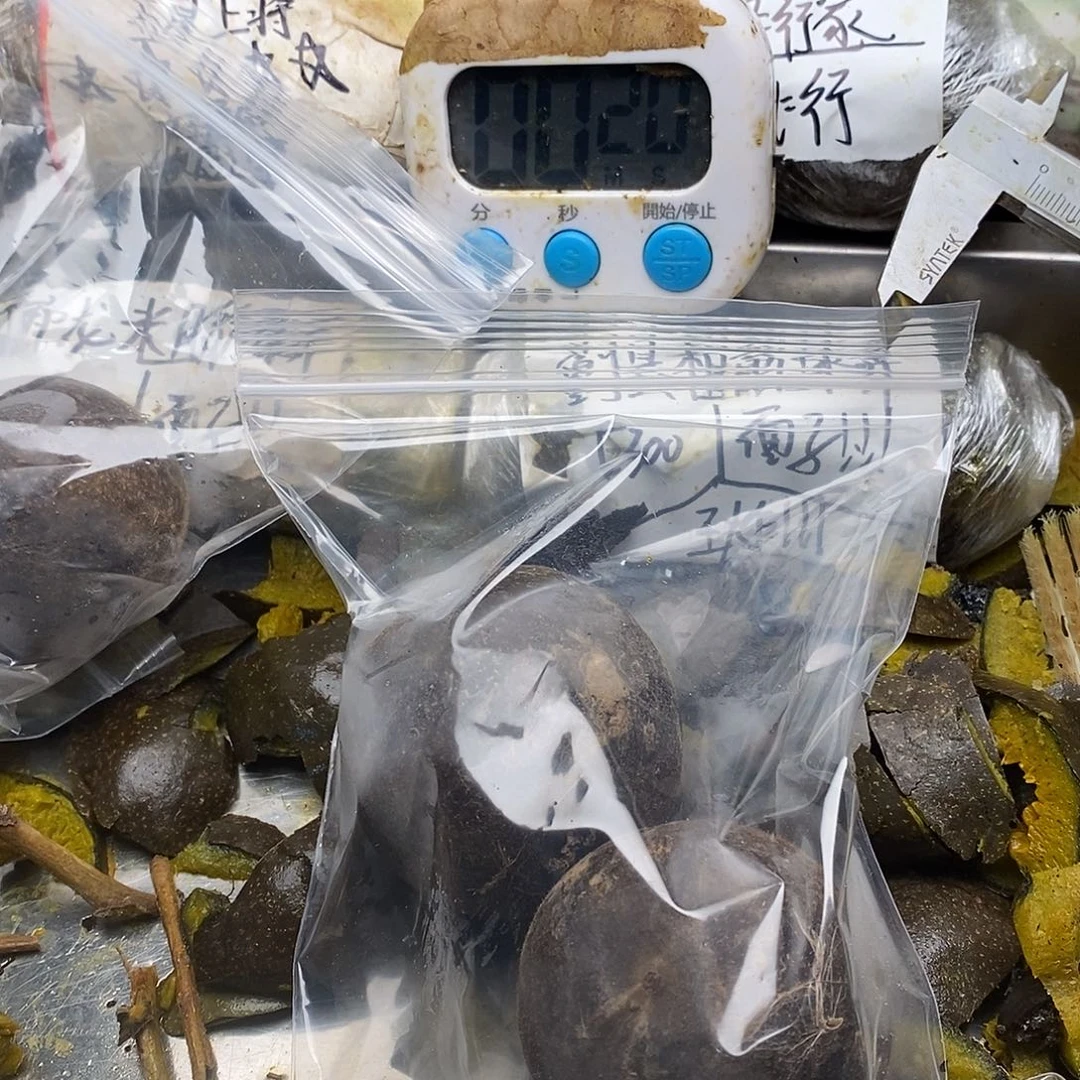 ****後干j看你姐姐家男男女女呢