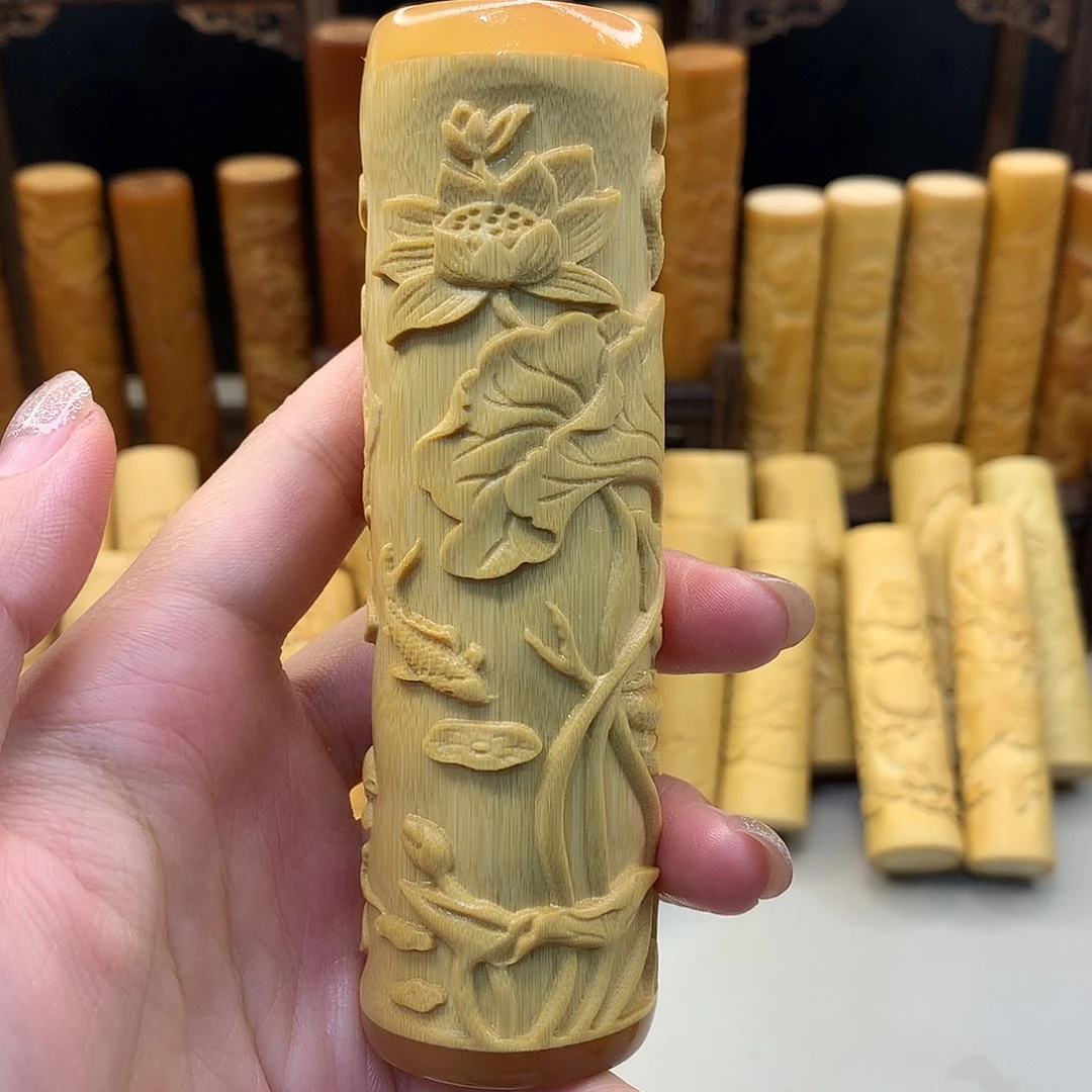 实心竹哈哈哈哈哈哈哈