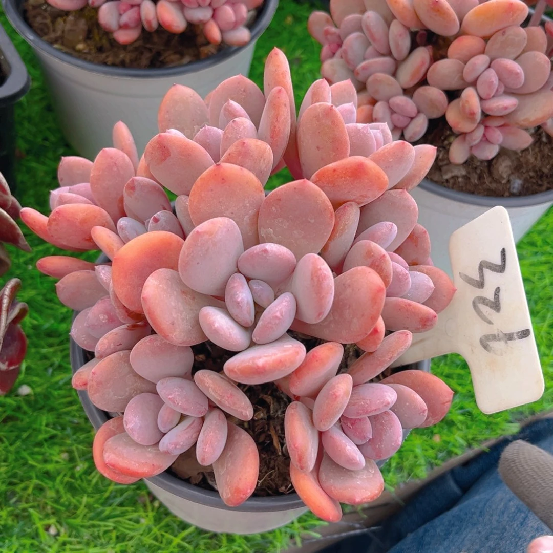 我***子321fghhhggcvvvvv