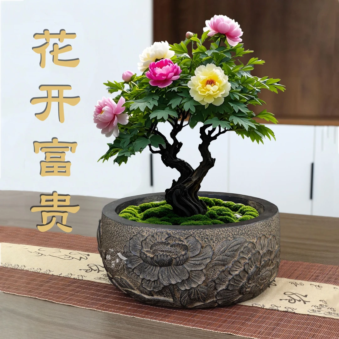 仿古花盆高级感精致轻奢高端水培盆-花开富贵