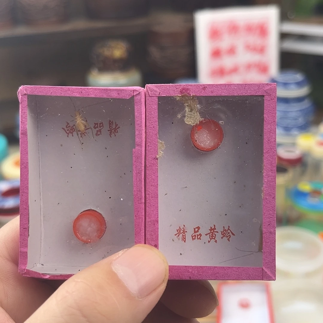 两条中长须中黄蛉