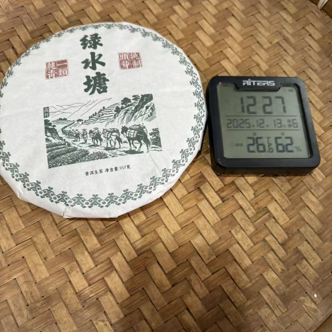 22年绿水塘纯青一类头芽挑制高杆普洱生茶饼357克CMF26号12月13日