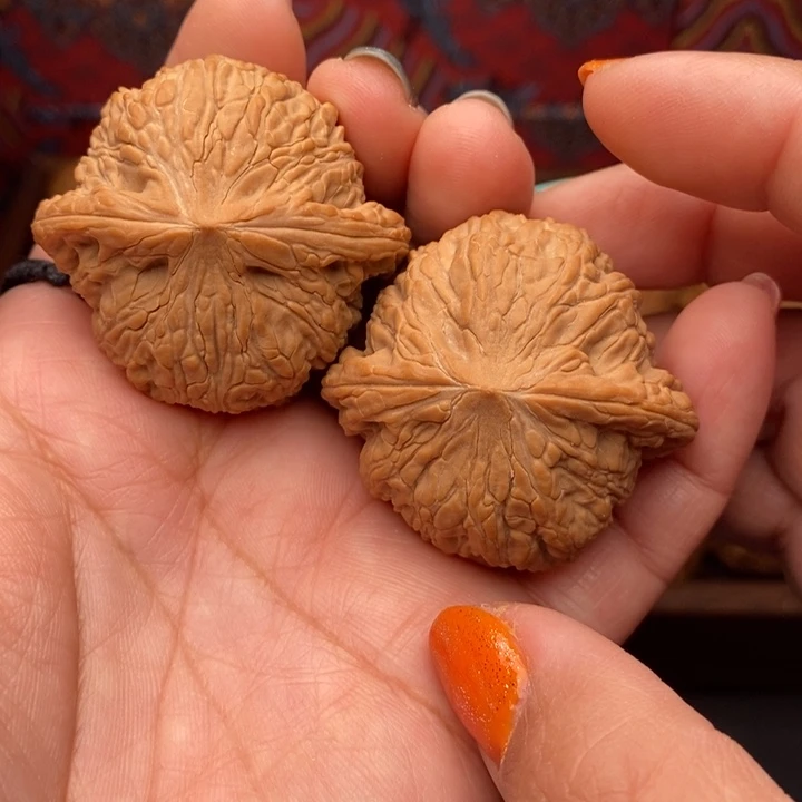 核桃泥鳅背43尺核桃