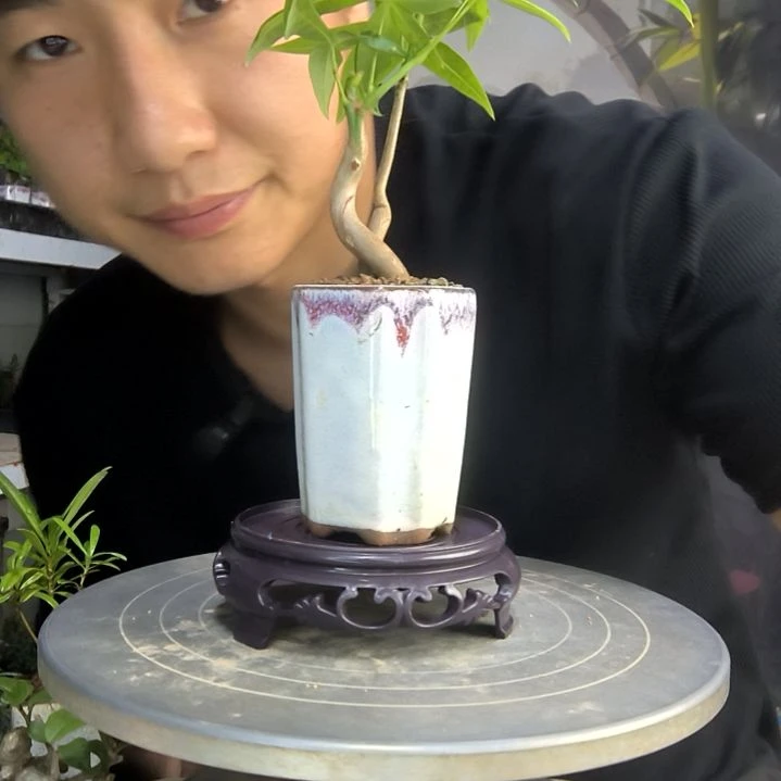 蒋**?中青园艺一物一拍122