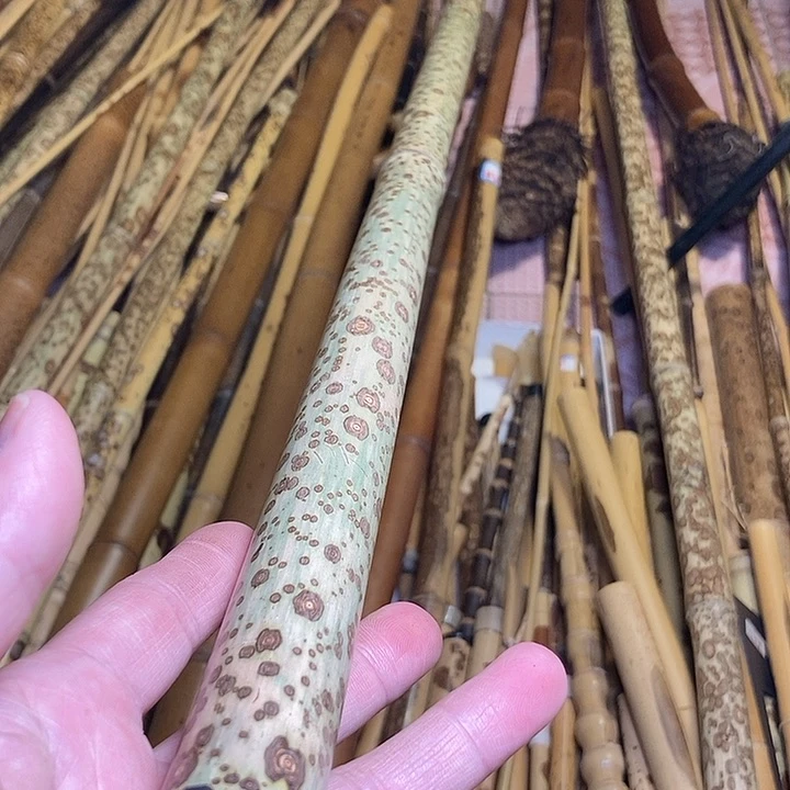 大**河精美梅鹿一支起拍