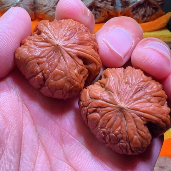孤品铁锤蟒蛇土豪级
