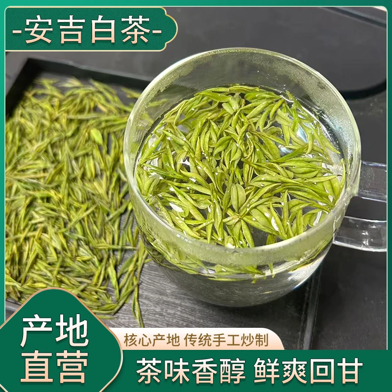25年新茶（A880母本白）兰花香正宗安吉原产地白茶送人送礼一芽一叶