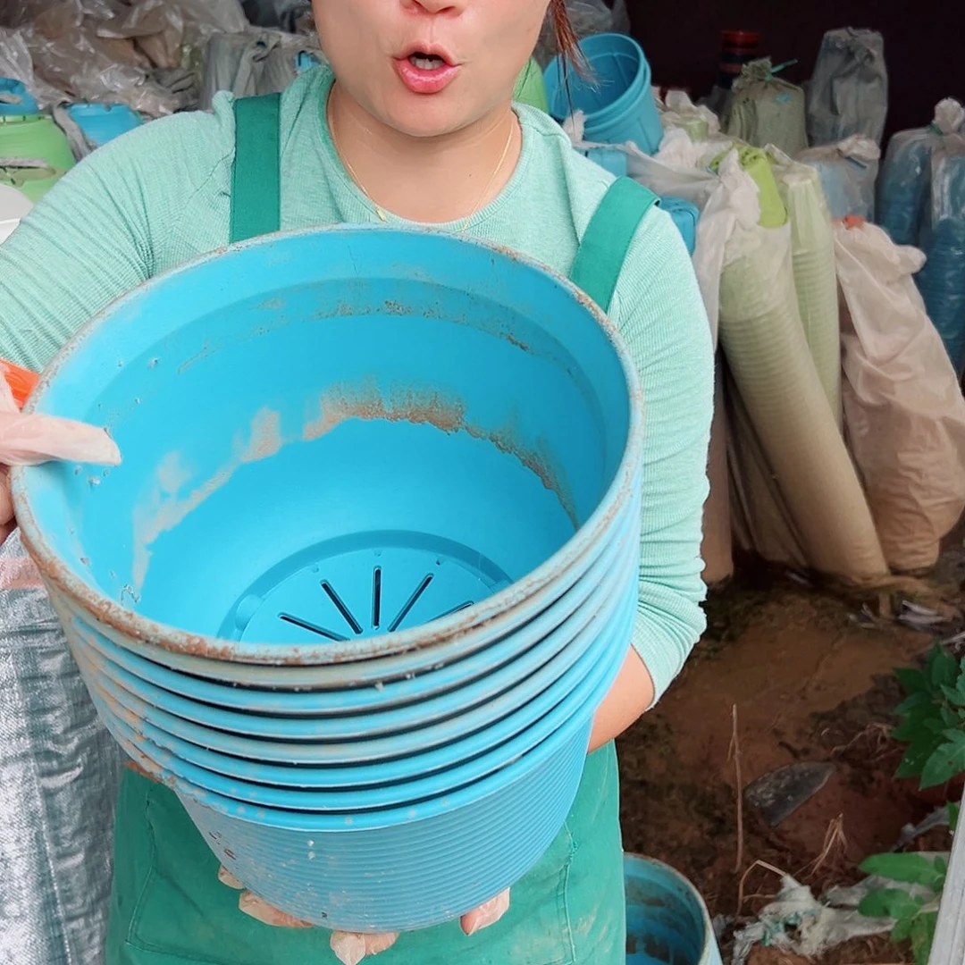 瑕疵仿陶B4#蓝色6个无托