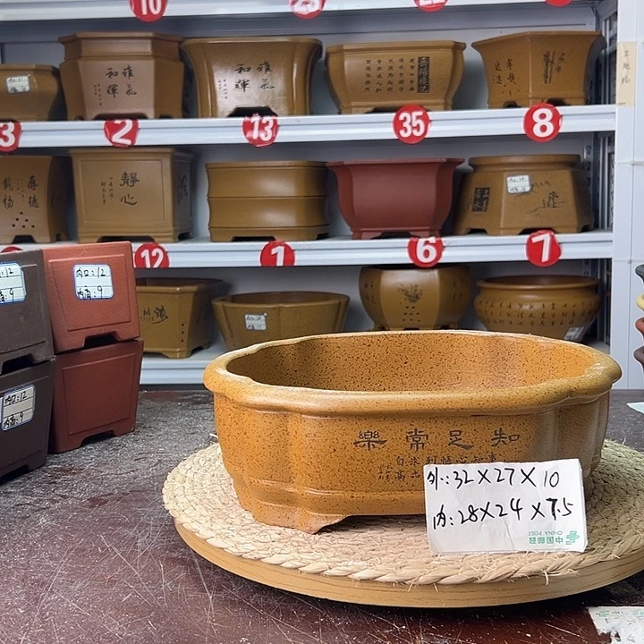 紫砂花盆蛇年大吉