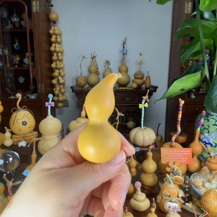本捻葫芦弯嘴响籽厚皮