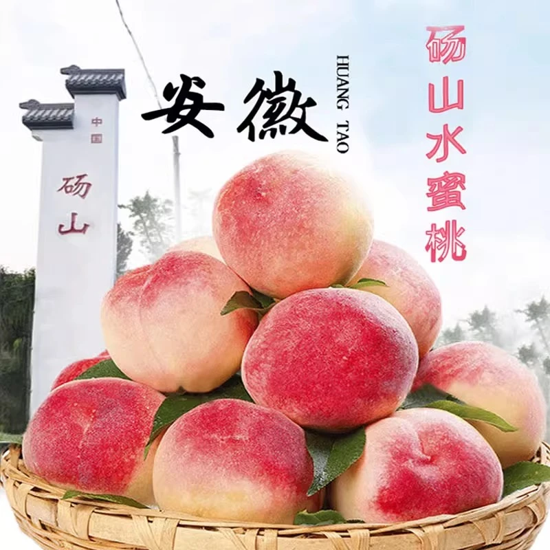 【京东/顺丰】正宗砀山新鲜水蜜桃脆软两吃夏日应季水果产地直发