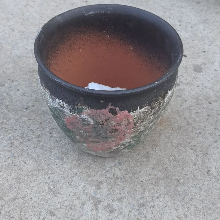 20/20瑕疵一个盆