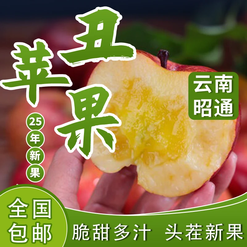 昭通苹果买3斤送2斤冰糖心丑苹果正宗现摘现发包脆包甜坏果包赔