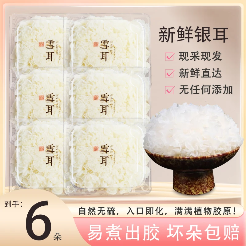 【顺丰包邮】古田新鲜银耳130g*6朵糯耳雪耳羹枸杞福建孕妇白木耳