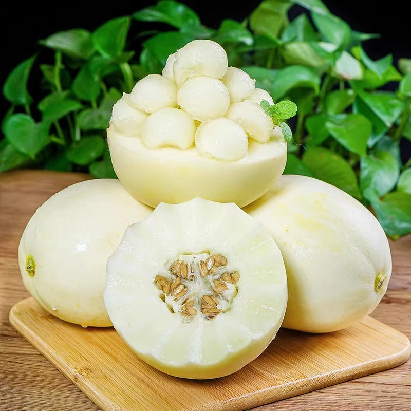 达人专属25年头茬!陕西阎良甜瓜!小籽甜瓜!小白瓜蜜香瓜