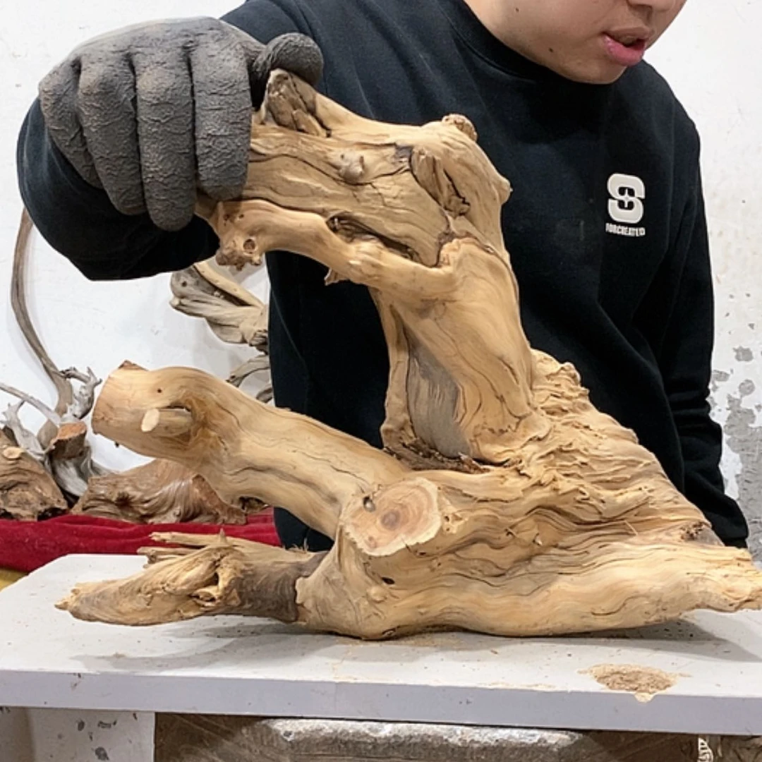 【闪购商品】柏木张*忠我们都是好孩子