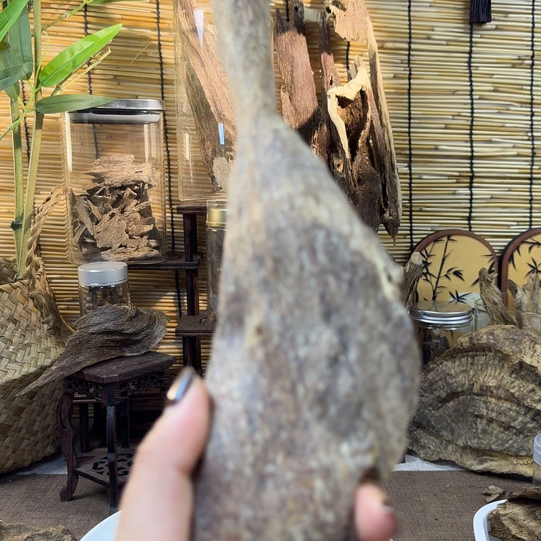 沉香沉香碎屑沉香虫漏165g