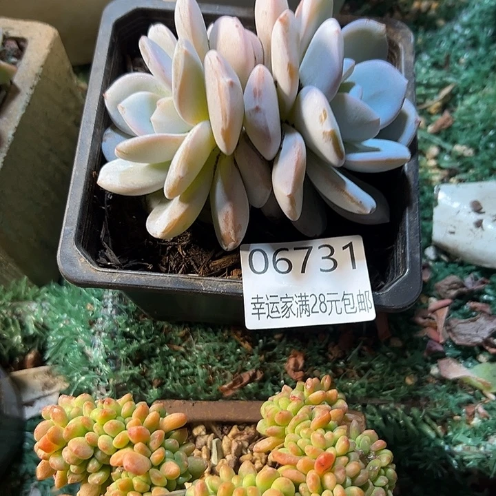 幸运的是我还没遇到过