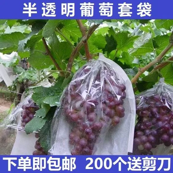 葡萄套袋专用袋半透明葡萄袋子透气纸袋防鸟防虫水果袋包莲雾套袋