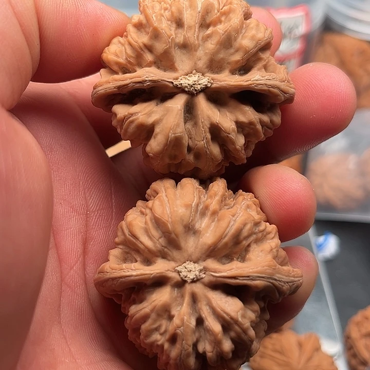 把件文玩核桃粗筋47