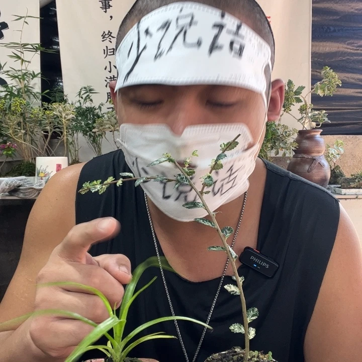 诗***—无花朵退款拉黑拉黑5