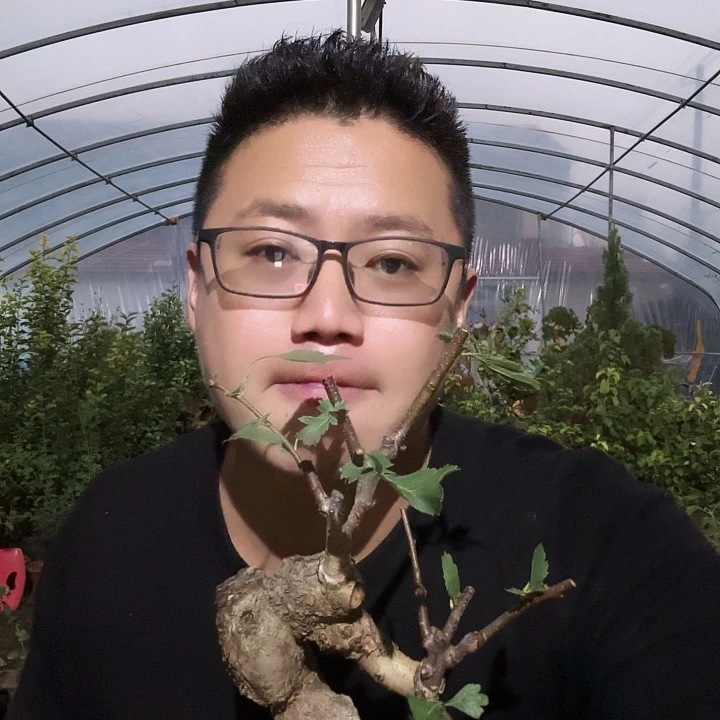 邂***昏当前无花朵，栽培后可花朵