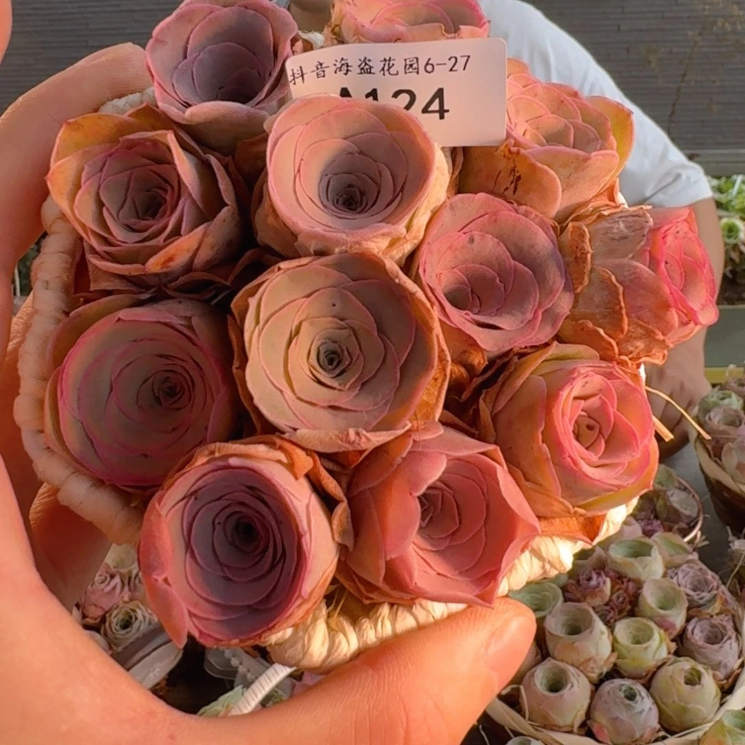 A124 六角花篮玫瑰组合