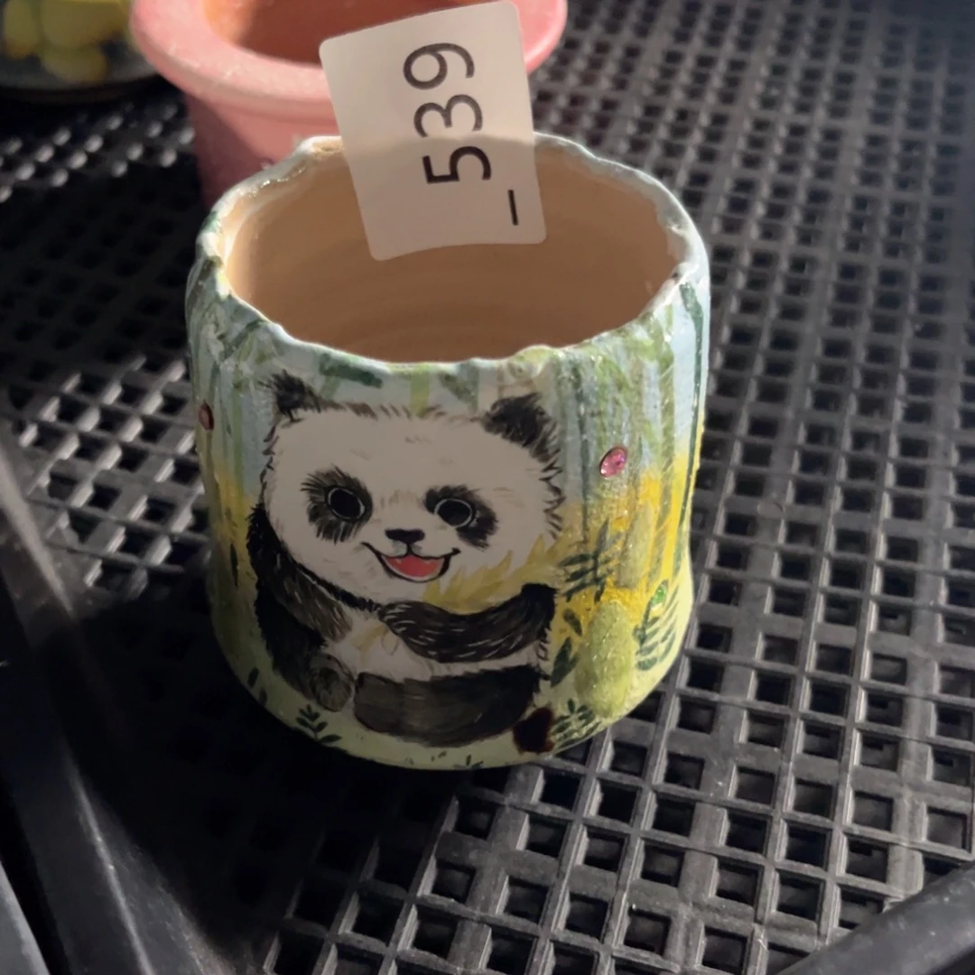 红陶果****)539花盆1个