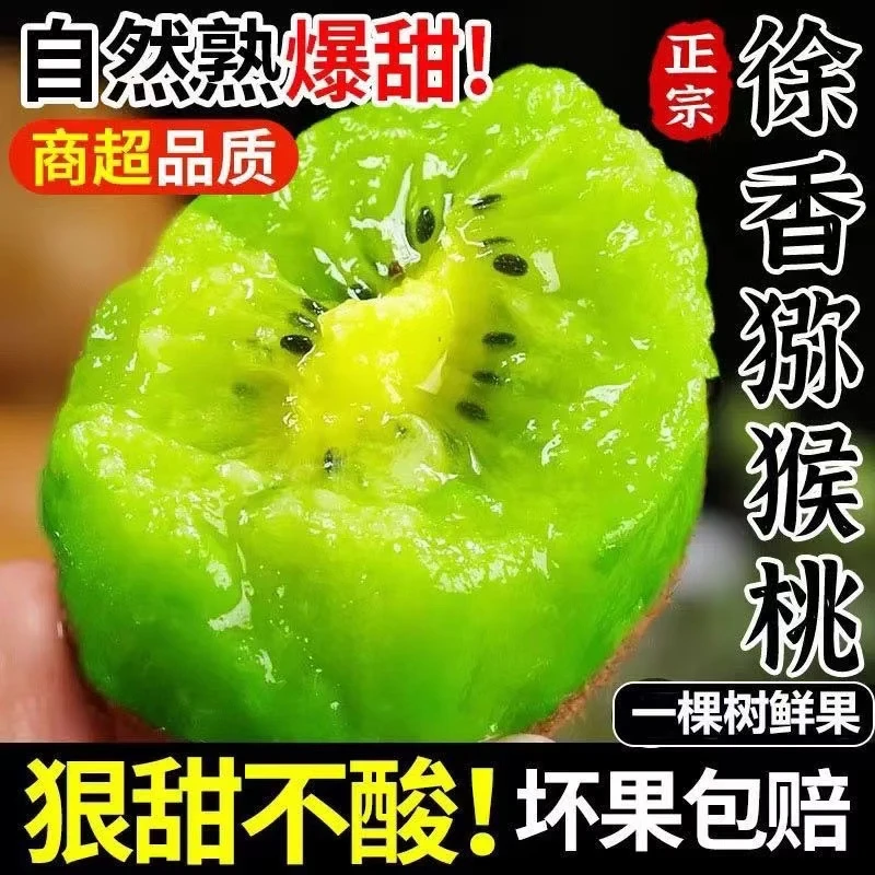 正宗陕西徐香猕猴桃30枚/24枚装单果60-100g产地直发坏果包赔