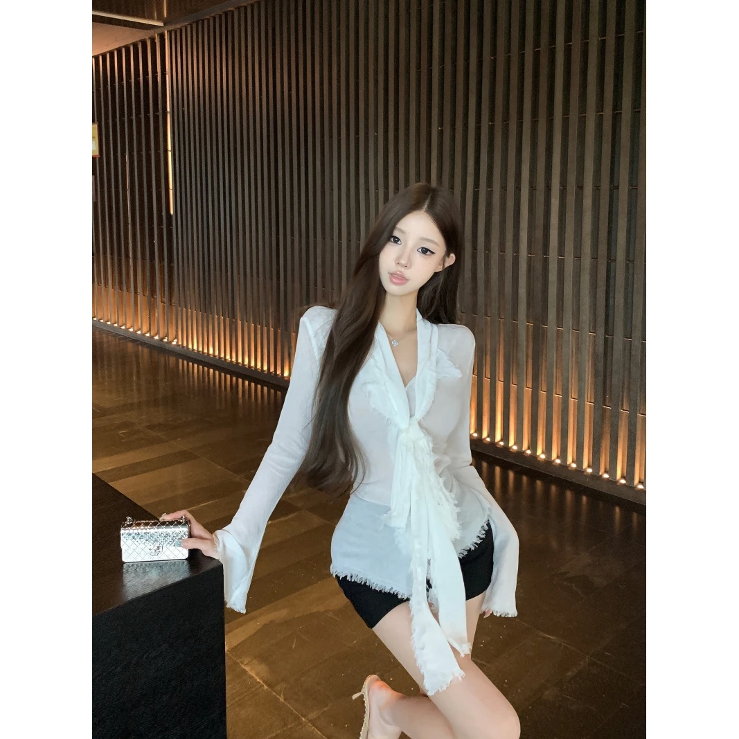 高级微透视气质长袖衬衫女韩系简约时尚百搭高级绝美别致外穿上衣