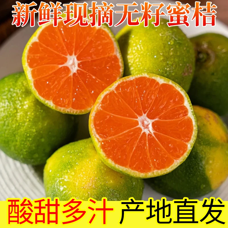 云南蜜桔青皮酸甜多汁现摘现发时令水果早熟柑橘整箱橘子桔子包邮