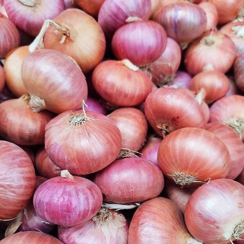 【丰美】农家自种【小香葱头 】烧烤伴侣咖喱提香小洋葱生吃凉拌珠葱