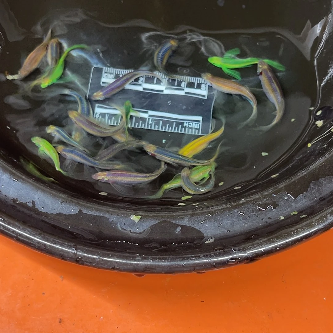 海水7号哈哈哈哈哈哈