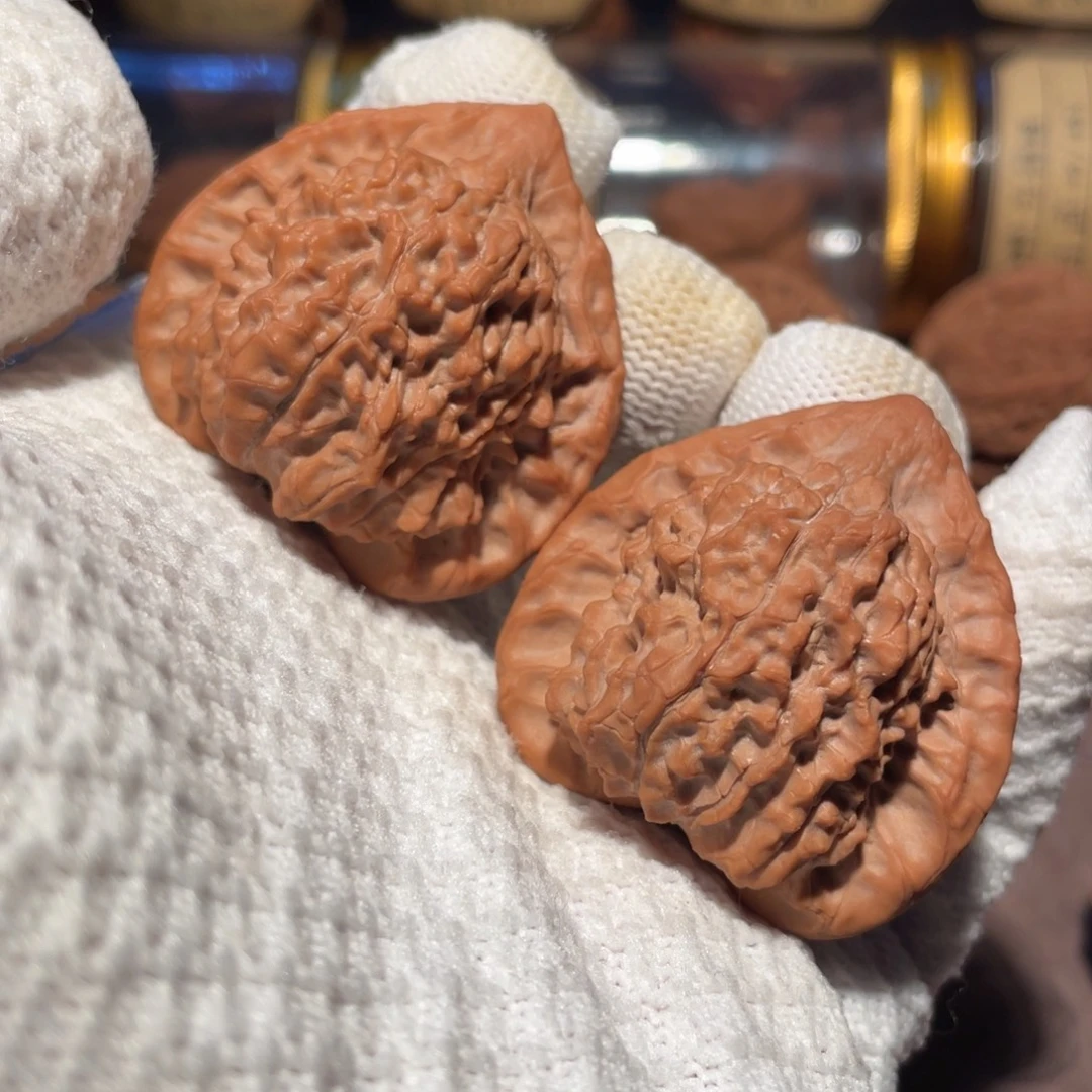 核桃42朱雀mmmmmm