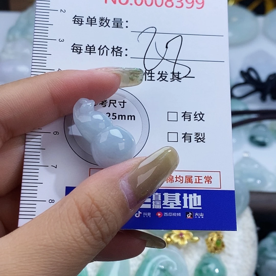 翡翠未镶嵌颈饰8399