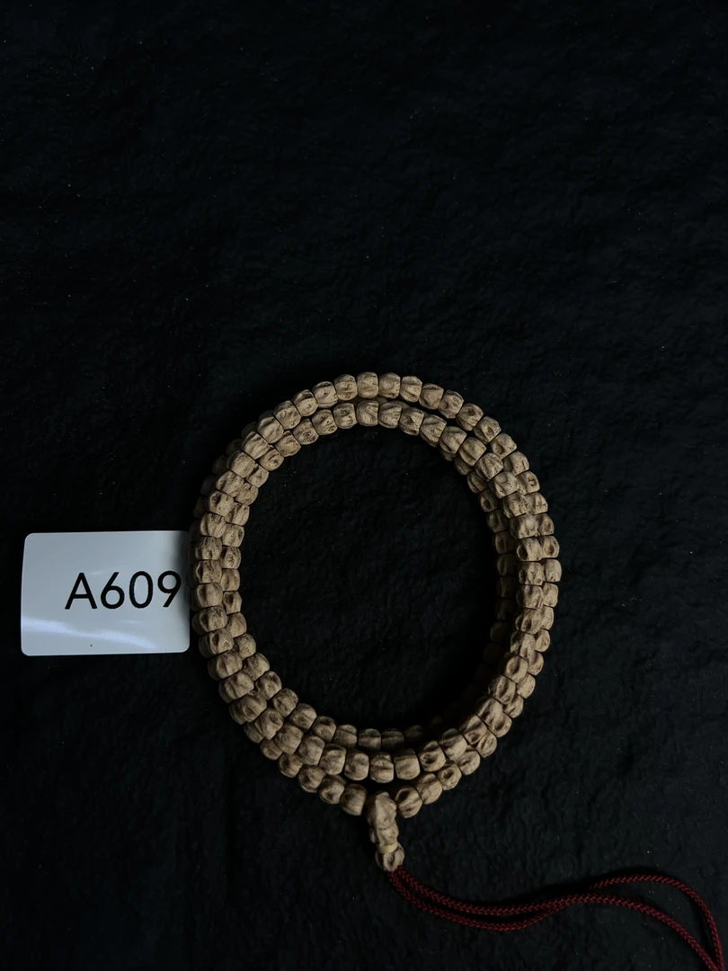 热振柏香籽 红皮多棱深坑鬼 A609