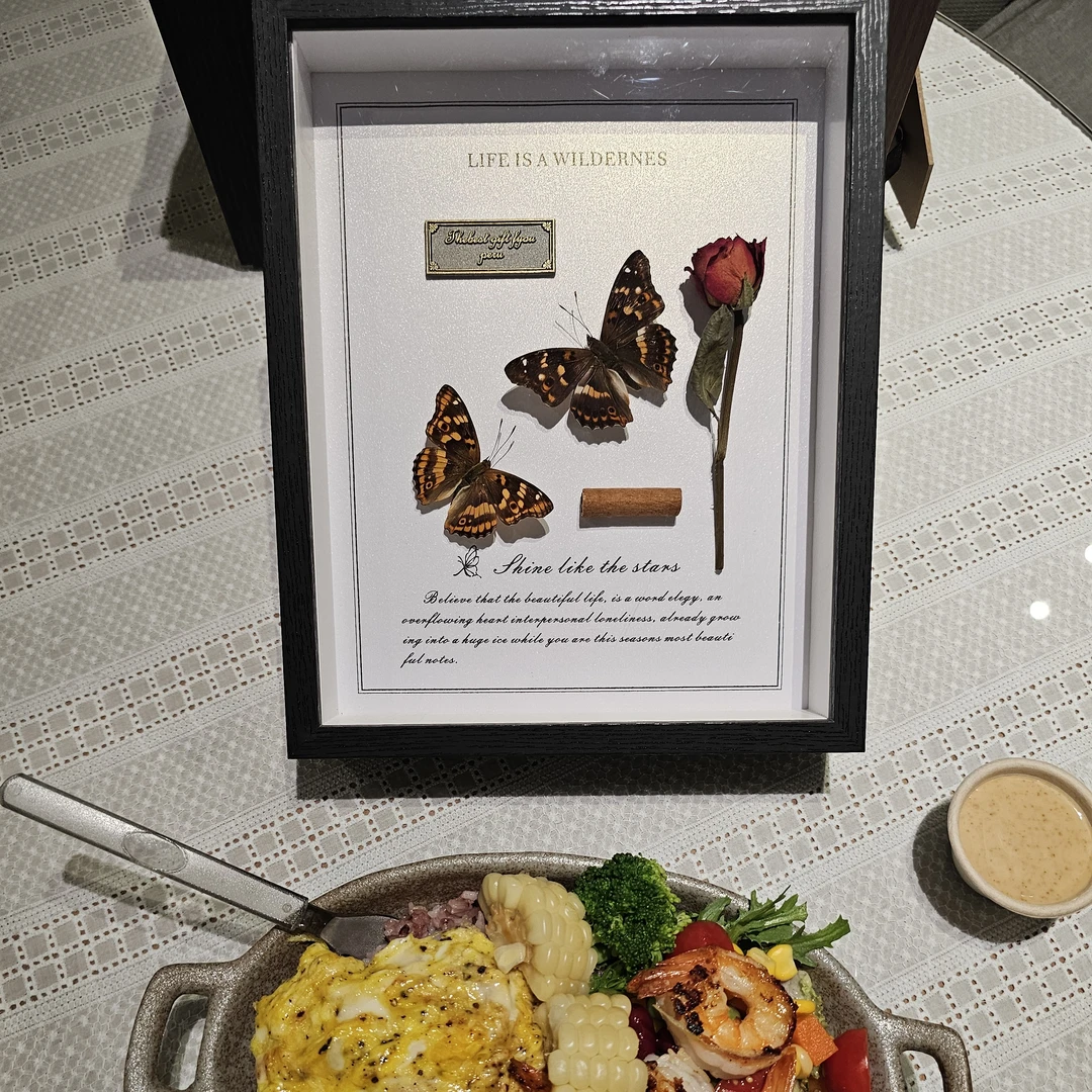 Haimiu艺术双雄闪蝶永生玫瑰干花艺术居家创意相框立体DIY礼品