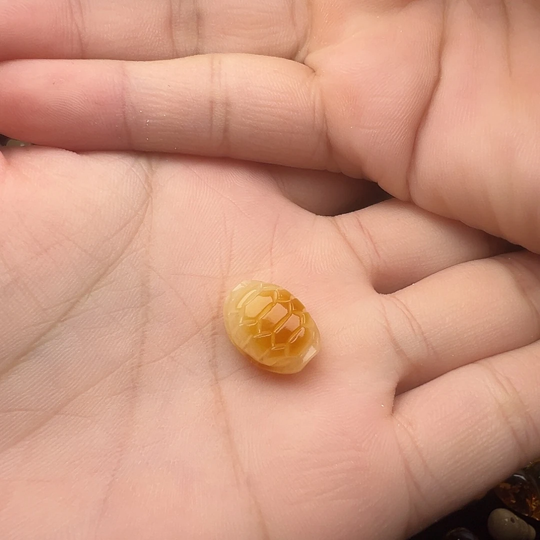 蜜蜡未镶嵌颈饰富甲天下提溜吊坠