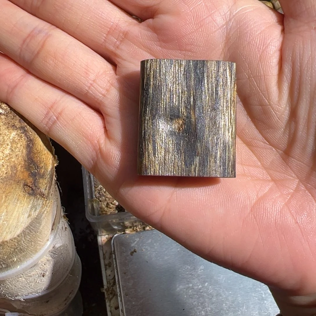 吊坠沉香白棋楠吊坠5.5克