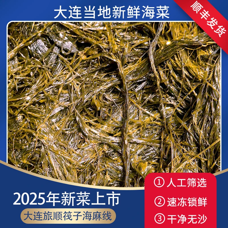 大连当地海菜海麻线海毛线 顺丰速冻发（骆驼毛）