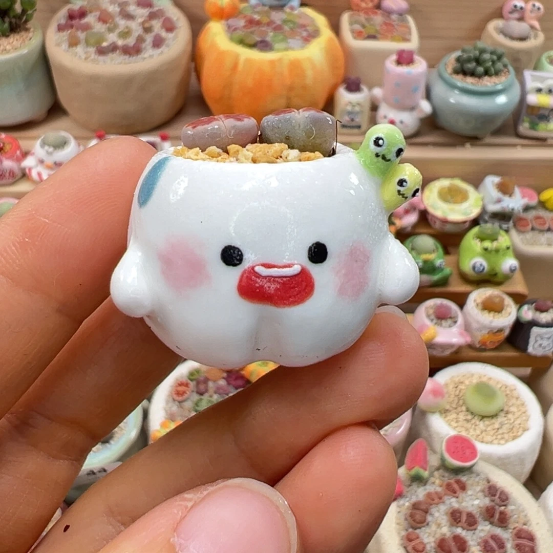 多肉植物47号拇指盆