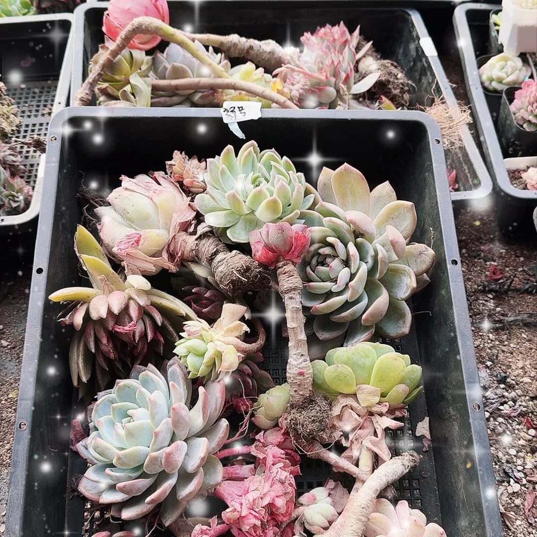 满20包邮零下拍保温箱33号筐无售后