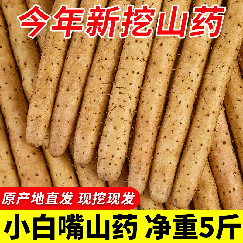 河北蠡县正宗小白嘴铁棍山药农家新鲜蔬菜5斤山药新鲜粉糯食品