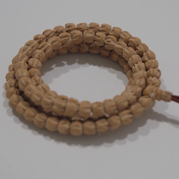 「细制」6号618福利热振白芽粗筋老型长串